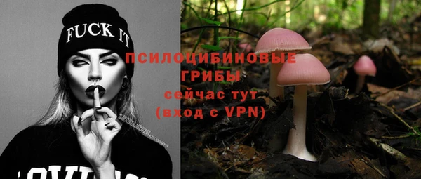 твердый Нея