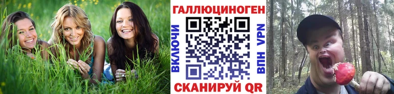 Галлюциногенные грибы Psilocybe  Облучье 